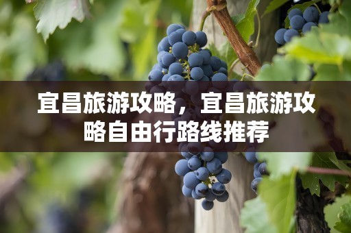 宜昌旅游攻略，宜昌旅游攻略自由行路线推荐