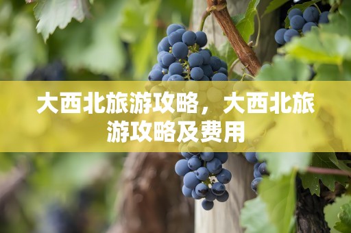 大西北旅游攻略，大西北旅游攻略及费用