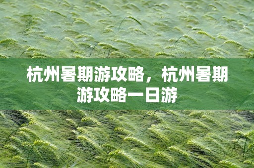 杭州暑期游攻略，杭州暑期游攻略一日游
