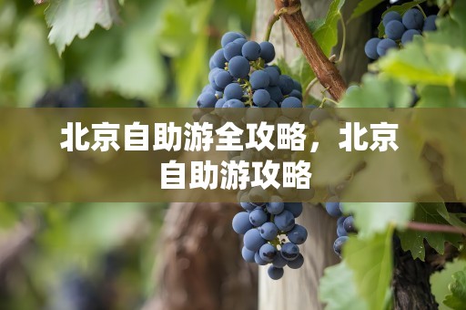 北京自助游全攻略，北京 自助游攻略