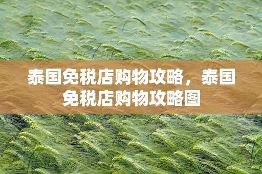泰国免税店购物攻略，泰国免税店购物攻略图