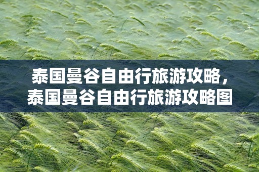 泰国曼谷自由行旅游攻略，泰国曼谷自由行旅游攻略图