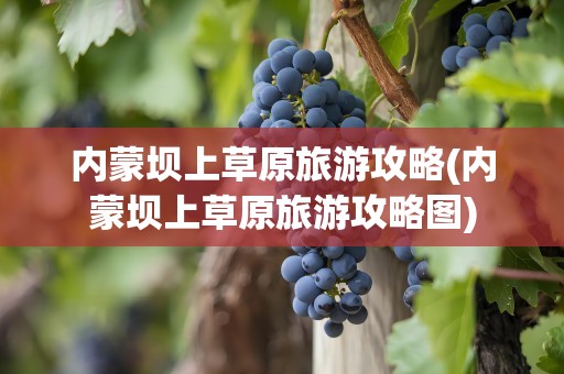 内蒙坝上草原旅游攻略(内蒙坝上草原旅游攻略图)