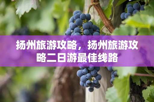 扬州旅游攻略，扬州旅游攻略二日游最佳线路