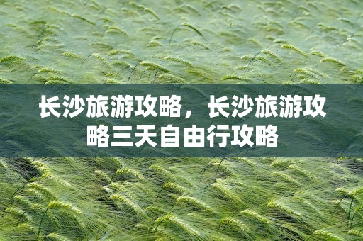 长沙旅游攻略，长沙旅游攻略三天自由行攻略