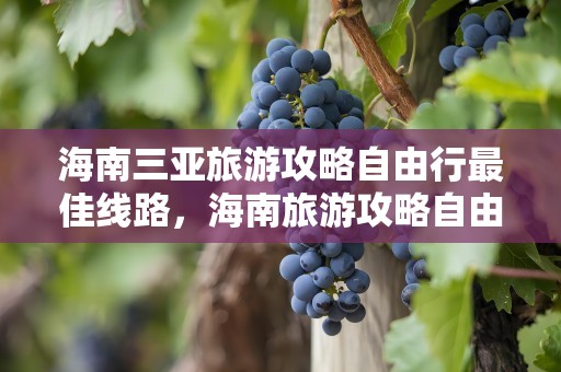 海南三亚旅游攻略自由行最佳线路，海南旅游攻略自由行最佳线路