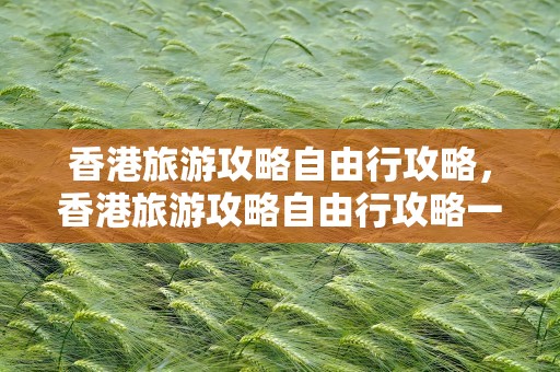 香港旅游攻略自由行攻略，香港旅游攻略自由行攻略一天