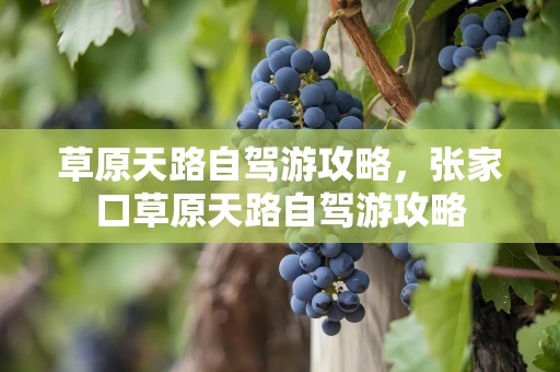 草原天路自驾游攻略，张家口草原天路自驾游攻略