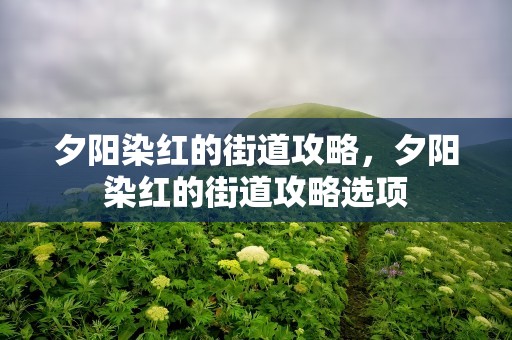 夕阳染红的街道攻略，夕阳染红的街道攻略选项