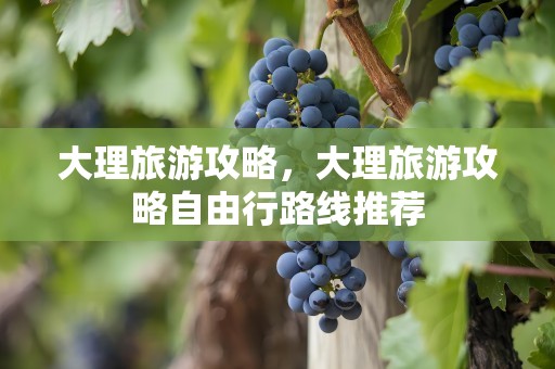 大理旅游攻略，大理旅游攻略自由行路线推荐