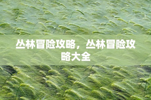 丛林冒险攻略，丛林冒险攻略大全