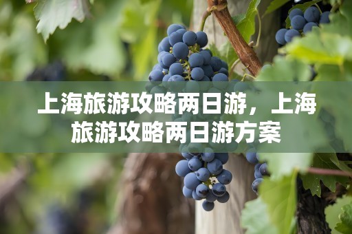 上海旅游攻略两日游，上海旅游攻略两日游方案