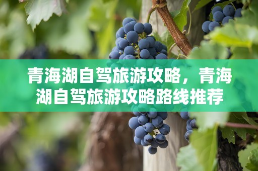 青海湖自驾旅游攻略，青海湖自驾旅游攻略路线推荐