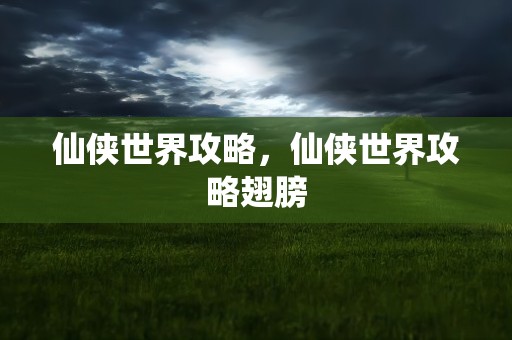 仙侠世界攻略，仙侠世界攻略翅膀