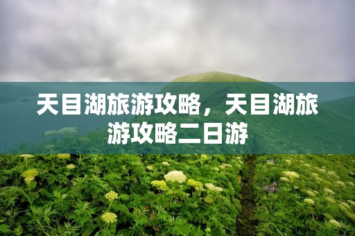 天目湖旅游攻略，天目湖旅游攻略二日游