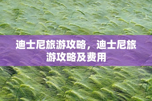 迪士尼旅游攻略，迪士尼旅游攻略及费用