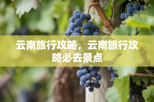 云南旅行攻略，云南旅行攻略必去景点