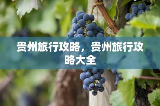 贵州旅行攻略，贵州旅行攻略大全