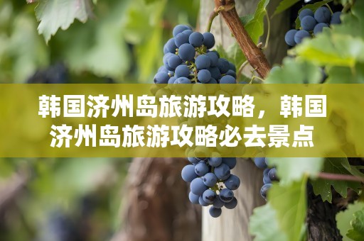 韩国济州岛旅游攻略，韩国济州岛旅游攻略必去景点
