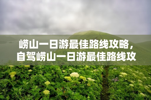 崂山一日游最佳路线攻略，自驾崂山一日游最佳路线攻略