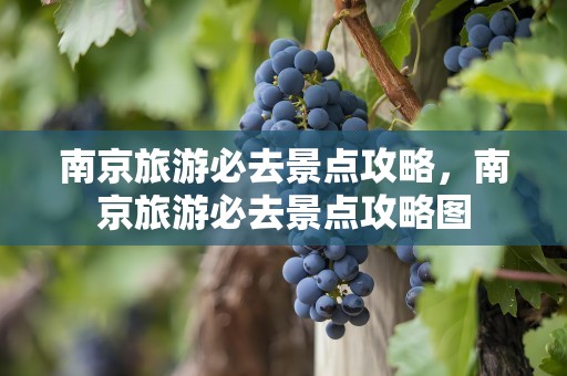 南京旅游必去景点攻略，南京旅游必去景点攻略图