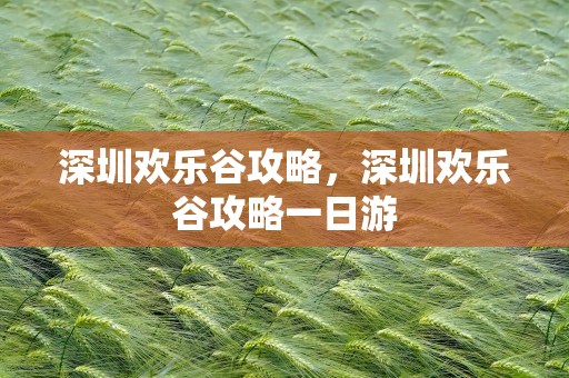 深圳欢乐谷攻略，深圳欢乐谷攻略一日游