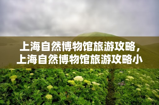 上海自然博物馆旅游攻略，上海自然博物馆旅游攻略小报
