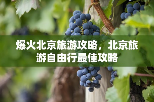 爆火北京旅游攻略，北京旅游自由行最佳攻略