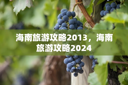 海南旅游攻略2013，海南旅游攻略2024