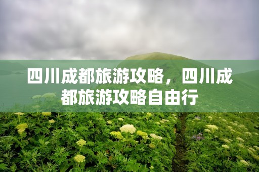 四川成都旅游攻略，四川成都旅游攻略自由行