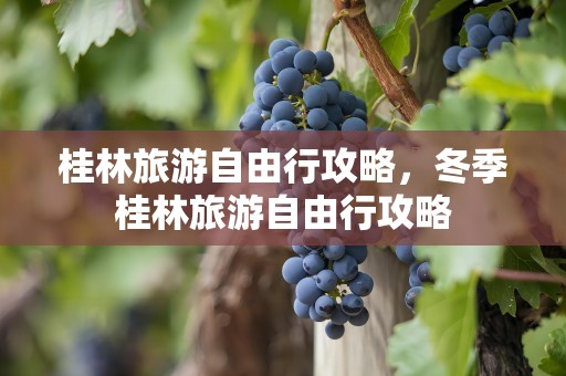 桂林旅游自由行攻略，冬季桂林旅游自由行攻略