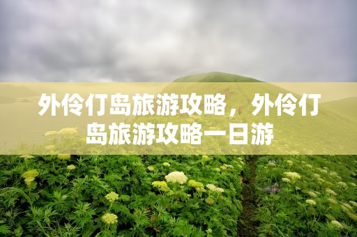 外伶仃岛旅游攻略，外伶仃岛旅游攻略一日游