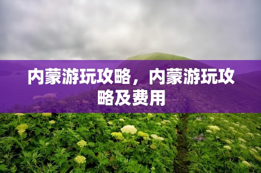 内蒙游玩攻略，内蒙游玩攻略及费用