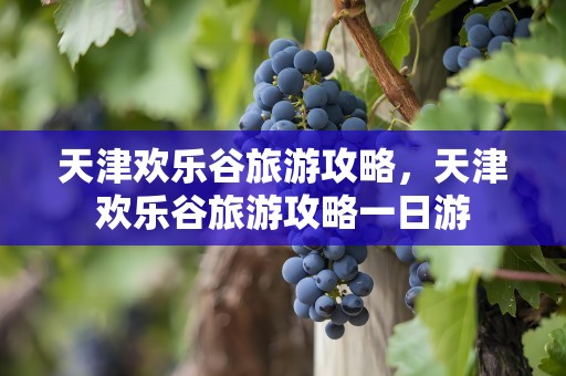 天津欢乐谷旅游攻略，天津欢乐谷旅游攻略一日游