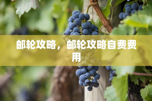 邮轮攻略，邮轮攻略自费费用