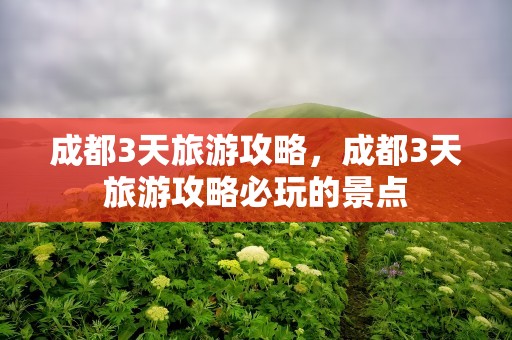 成都3天旅游攻略，成都3天旅游攻略必玩的景点