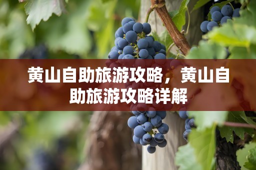 黄山自助旅游攻略，黄山自助旅游攻略详解