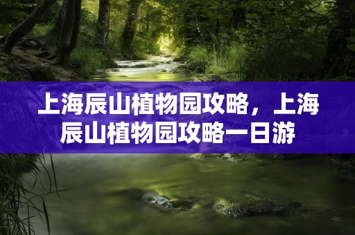 上海辰山植物园攻略，上海辰山植物园攻略一日游