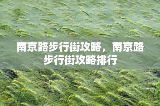 南京路步行街攻略，南京路步行街攻略排行