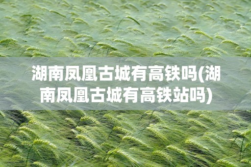 湖南凤凰古城有高铁吗(湖南凤凰古城有高铁站吗)