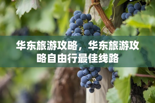 华东旅游攻略，华东旅游攻略自由行最佳线路