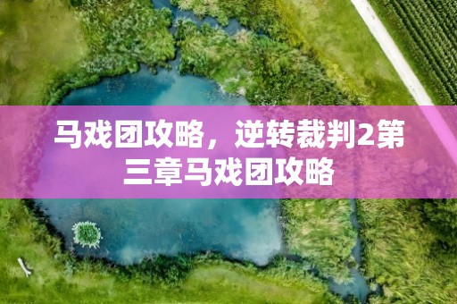 马戏团攻略，逆转裁判2第三章马戏团攻略