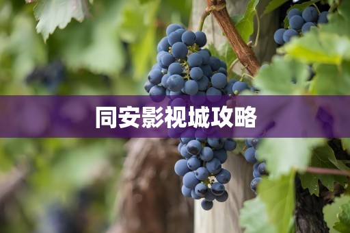 同安影视城攻略