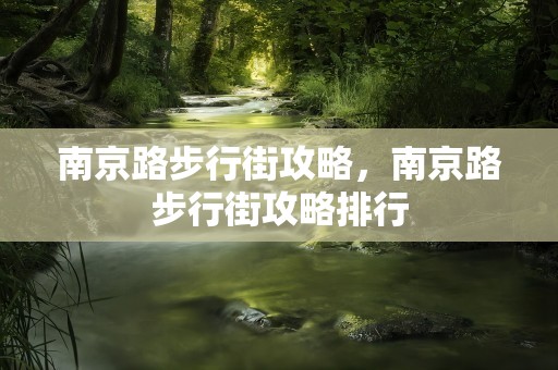南京路步行街攻略，南京路步行街攻略排行