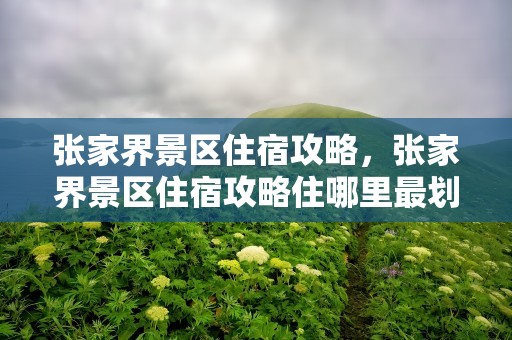 张家界景区住宿攻略，张家界景区住宿攻略住哪里最划算