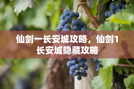 仙剑一长安城攻略，仙剑1长安城隐藏攻略
