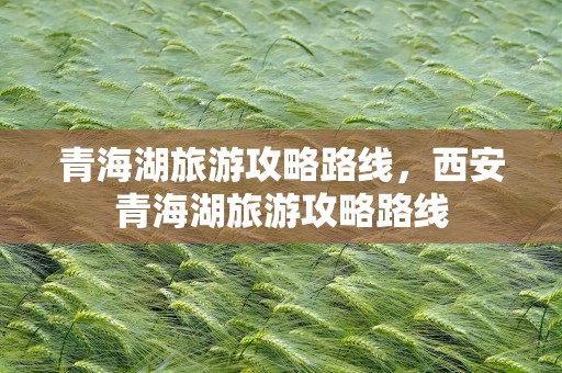 青海湖旅游攻略路线，西安青海湖旅游攻略路线