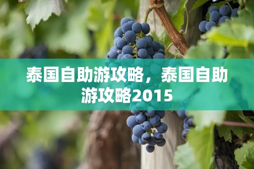 泰国自助游攻略，泰国自助游攻略2015
