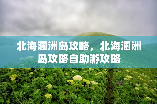 北海涠洲岛攻略，北海涠洲岛攻略自助游攻略