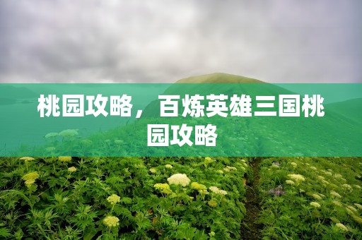桃园攻略，百炼英雄三国桃园攻略
